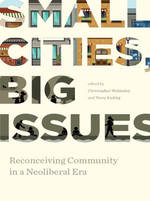 cover image of Small Cities, Big Issues